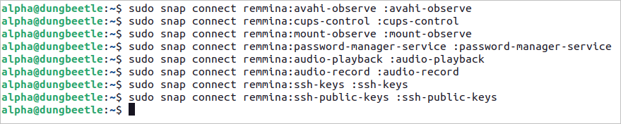 remmina instalar ubuntu